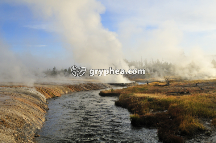 Vapeurs matinales de sources chaudes (Yellowstone NP, USA) - gryphea.com